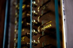 Domina